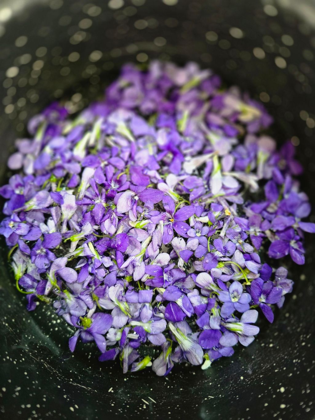 Grande quantité de fleurs de violette réunies dans une casserole