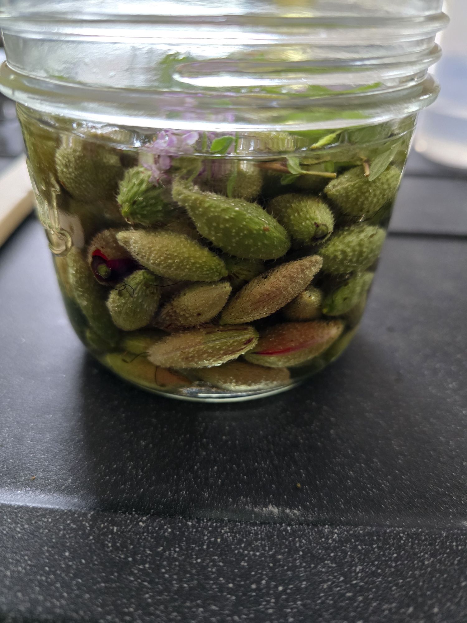 Boutons floraux de coquelicot placés dans un bocal avec la préparation vinaigrée