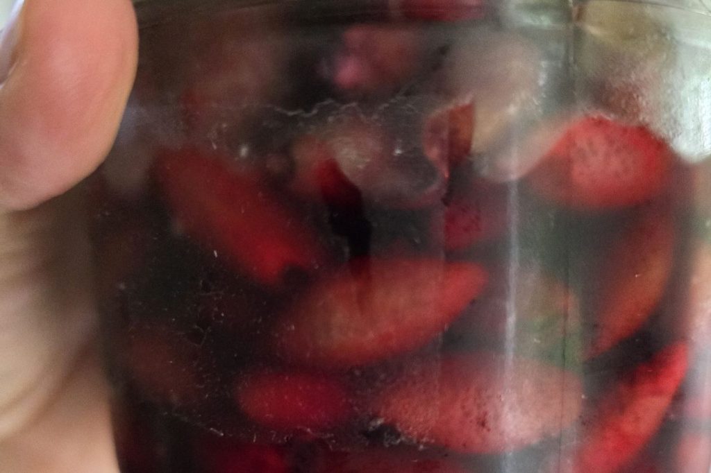 Pickles de boutons de coquelicot : une expérience que je ne referai&nbsp;pas