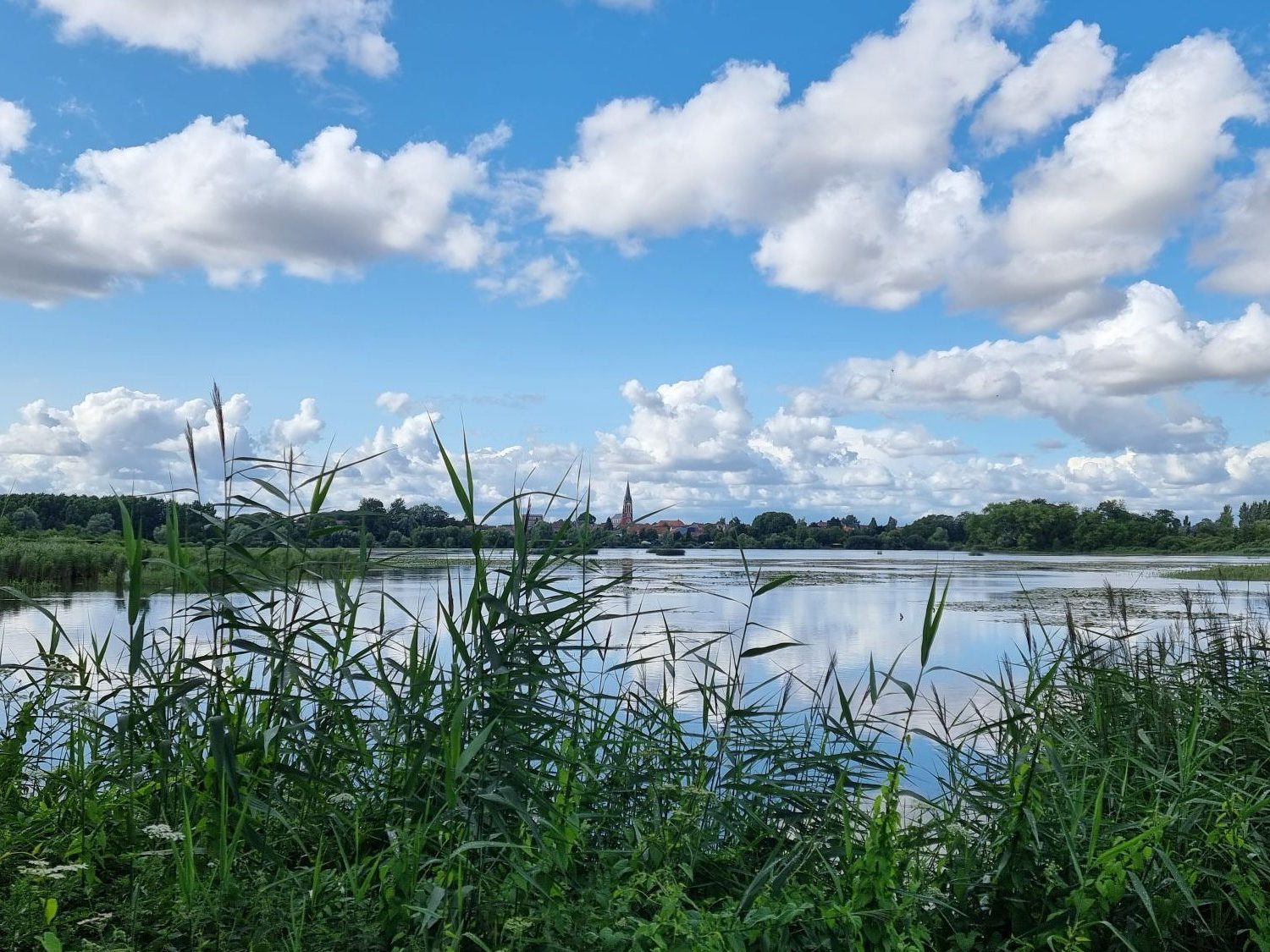 Paysage naturel entre ciel, eau et végétation