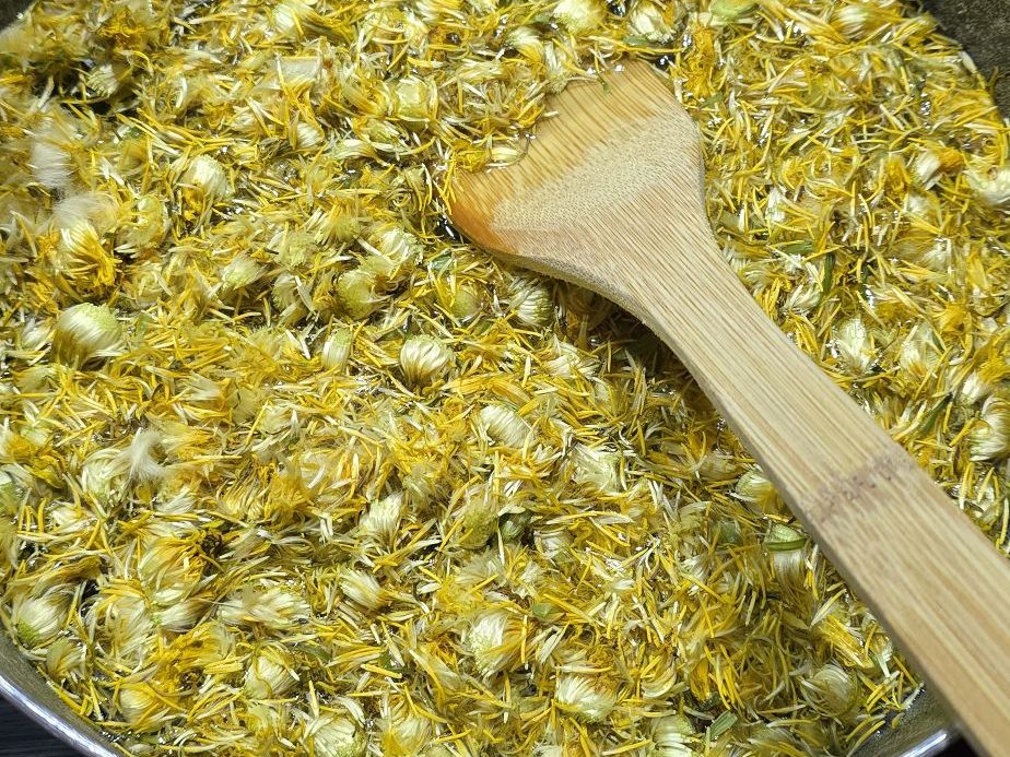 Fleurons de pissenlit chauffés dans une casserole avec de l’eau