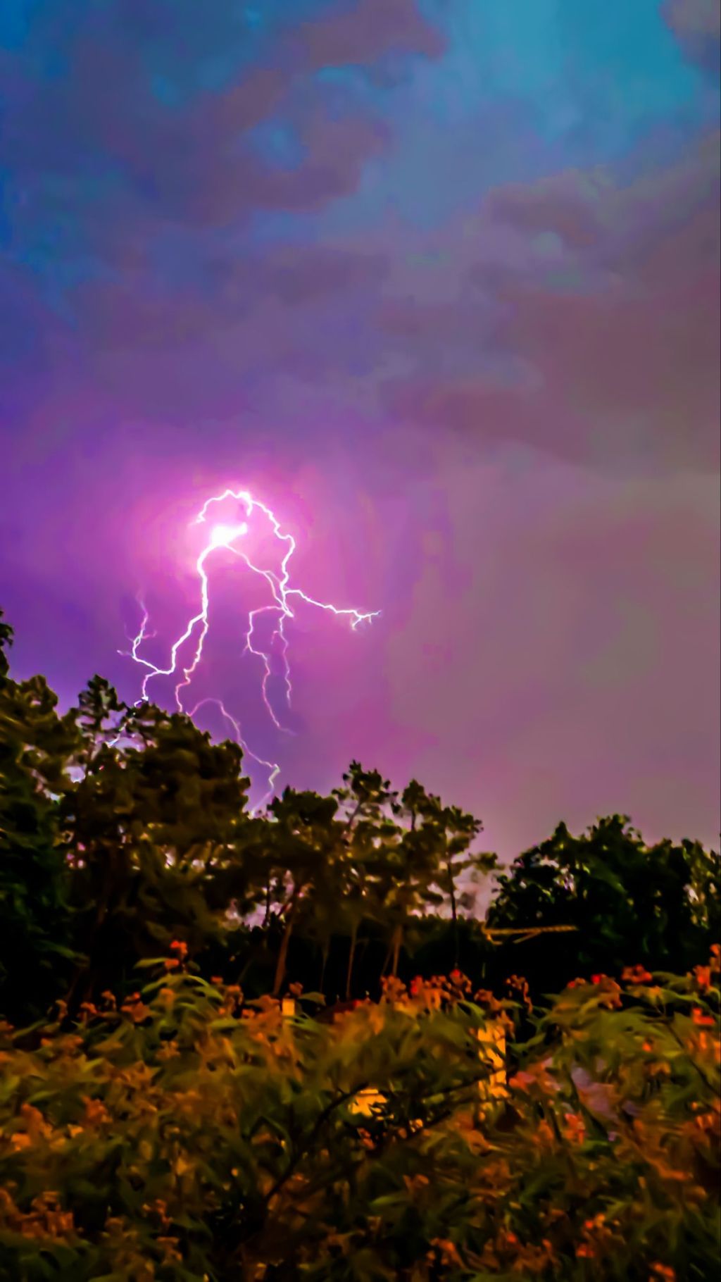 Éclair très ramifié dans un ciel d’orage violet au-dessus des arbres